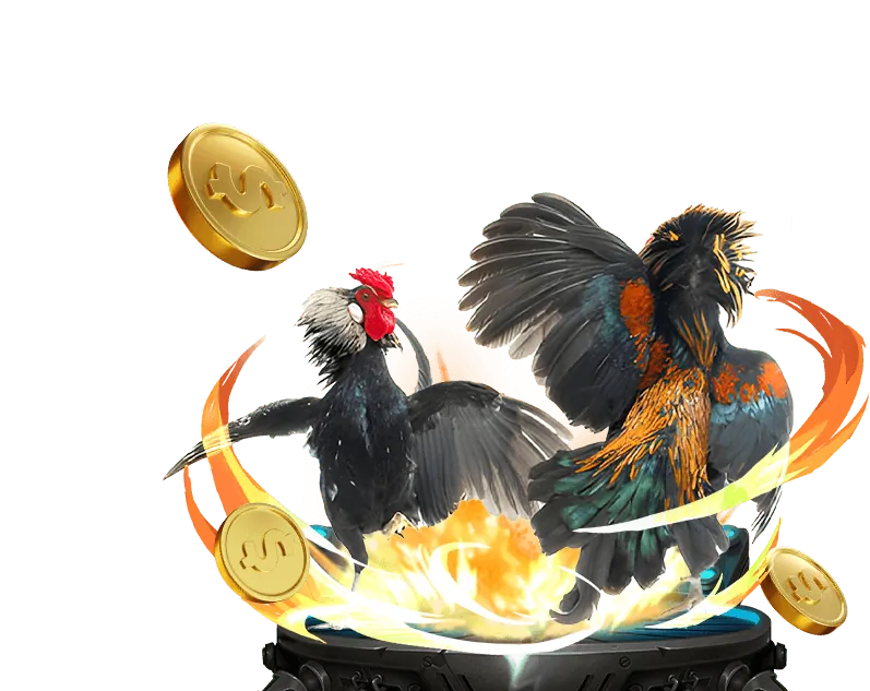 Tổng quan thông tin về benbet